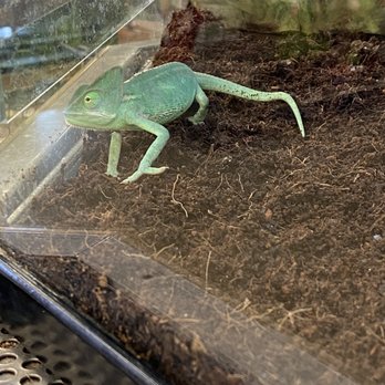 Petco - Pet Stores Near Me - Lawton, Oklahoma