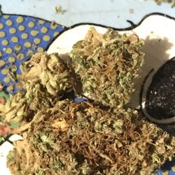 Cannabist - Lowell - Black Widow X Blue Lemon Thai