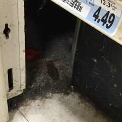 Pat's Foods - That's a turd that got kicked under a shelf after it was stepped on