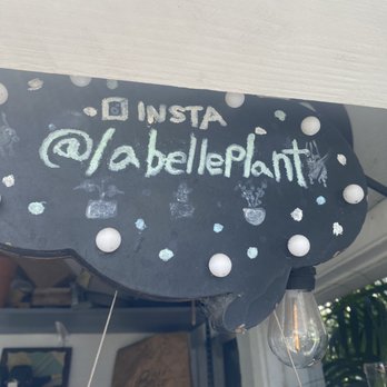 La Belle Plant - Nurseries & Gardening Near Me - Santa Monica, California