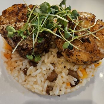 Salt & Marrow Kitchen - scallops - Bars Near Me - North Augusta, South Carolina Salt & Marrow Kitchen - scallops - Bars Near Me - North Augusta, South Carolina