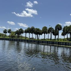 Gator Airboat Rides