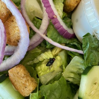 Four Seasons Diner - Dead fly in Large House Salad - Diners Near Me - Toms River, New Jersey Four Seasons Diner - Dead fly in Large House Salad - Diners Near Me - Toms River, New Jersey