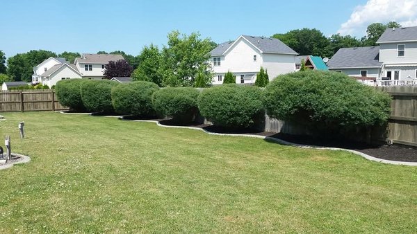 East Side Property Solutions - At East Property Solutions LLC, we pride ourselves on our extensive experience in the landscaping industry. Our skilled team is committed to providing top-notch service and creating beautiful outdoor spaces tailored to your needs.