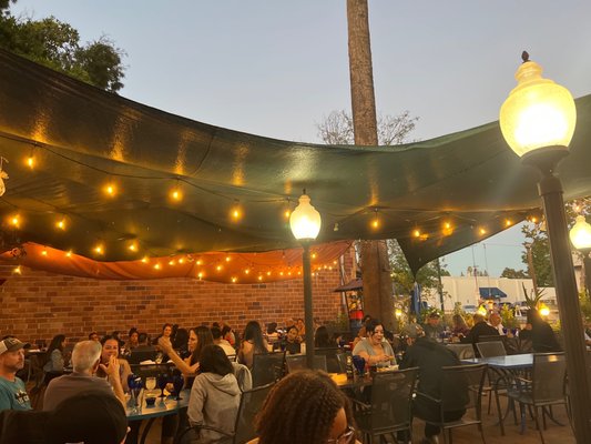 Blue Agave Club by null