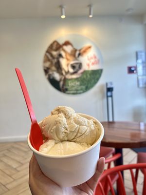 Lick Honest Ice Creams by null