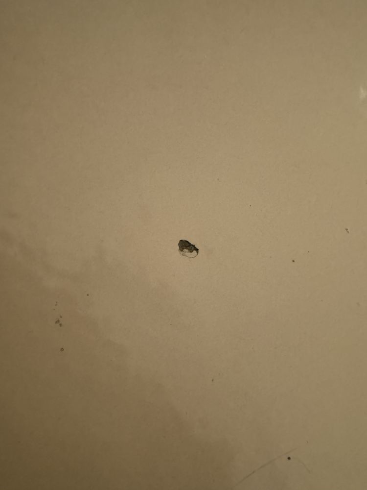 Slide of Husband 4 Hire