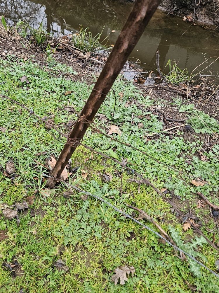 Slide of Mike Walker Lumber