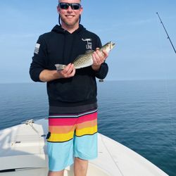 Got-Em Charters