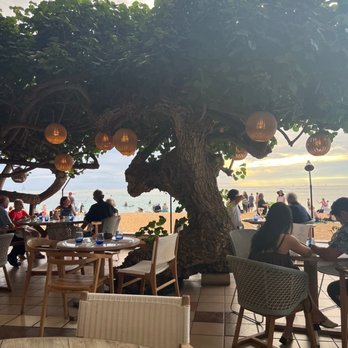 Hau Tree - Seafood Near Me - Honolulu, Hawaii Hau Tree - Seafood Near Me - Honolulu, Hawaii