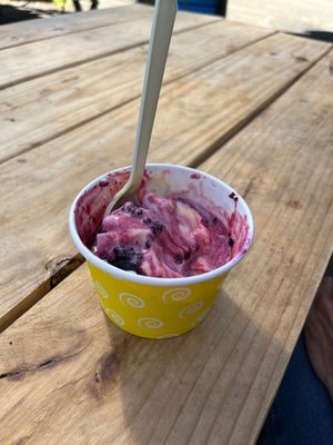 Ramblin' Rose Vegan Ice Cream Truck by null