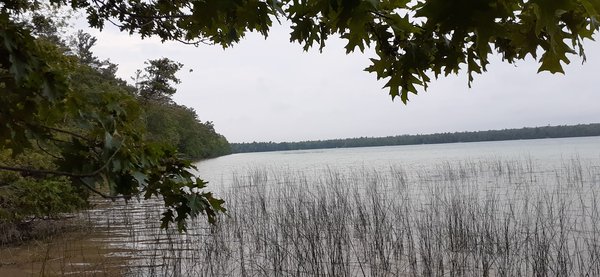 Newport State Park by null