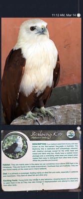 Davao Riverfront Crocodile Park & Zoo by null