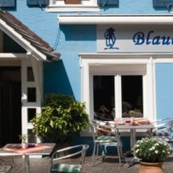 Blauer Affe