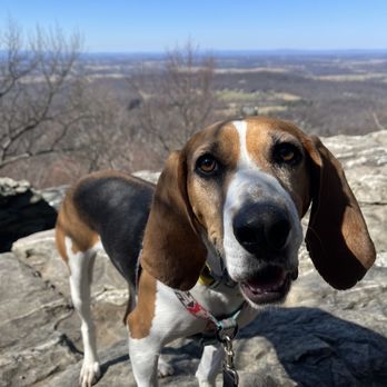 Bears Den - Hostels Near Me - Bluemont, Virginia Bears Den - Hostels Near Me - Bluemont, Virginia