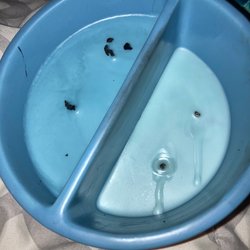 Walmart Supercenter - Candle