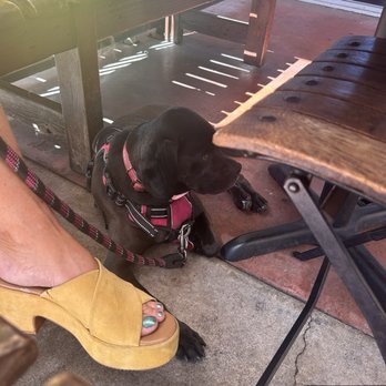 Tapas & Beer - Dog friendly patio - Tapas Bars Near Me - Rancho Santa Margarita, California Tapas & Beer - Dog friendly patio - Tapas Bars Near Me - Rancho Santa Margarita, California
