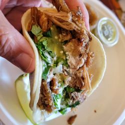 Taco w/ Carnitas and Sour cream