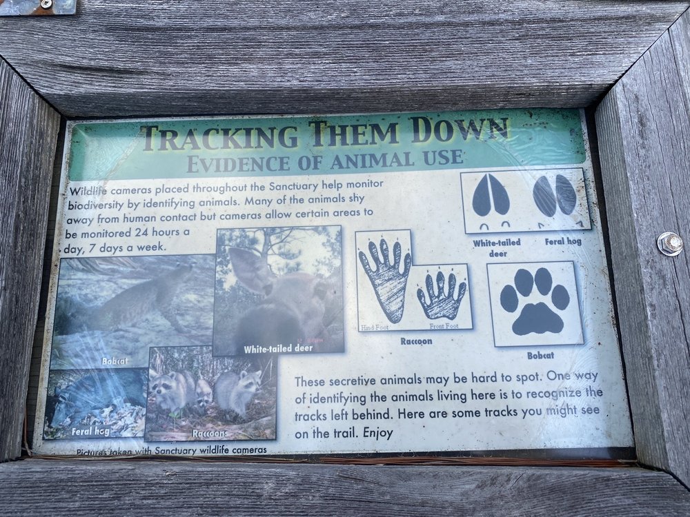 Malabar Scrub Sanctuary Mountain Bike Trails Image