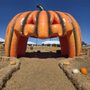 Photo of Texas Pumpkin Fest