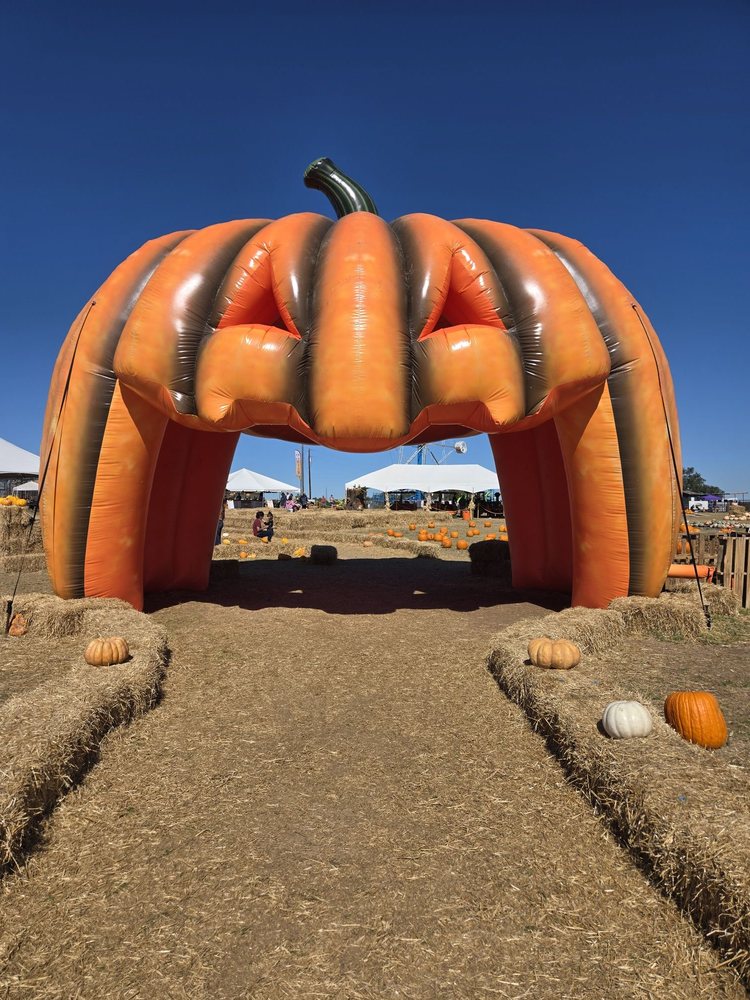 Texas Pumpkin Fest