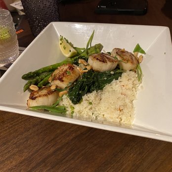 Square Grouper - Islamorada - Seafood Near Me - Islamorada, Florida