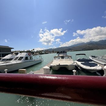 Kona Brewing - Pubs Near Me - Honolulu, Hawaii