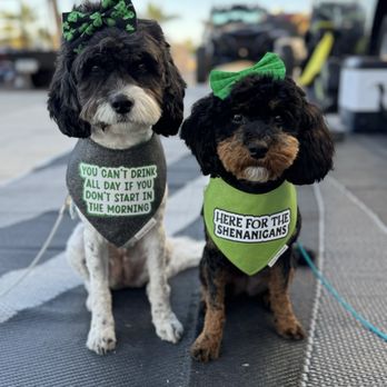 Bubbles N Bows - Spa day hair cuts - Pet Groomers Near Me - Lake Havasu City, Arizona Bubbles N Bows - Spa day hair cuts - Pet Groomers Near Me - Lake Havasu City, Arizona