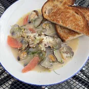 The Shore - Clams - Bars Near Me - Reno, Nevada The Shore - Clams - Bars Near Me - Reno, Nevada