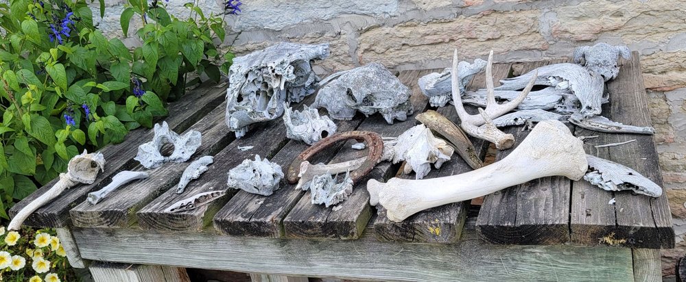 Aullwood Garden MetroPark