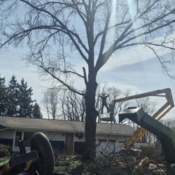 Brown's Tree Service