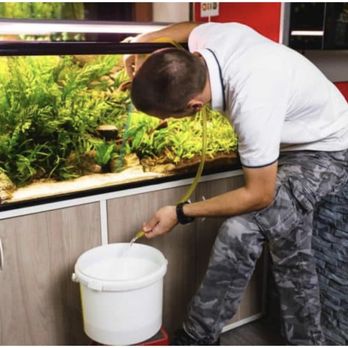 Thompson Fish tank service - Aquarium Services Near Me Thompson Fish tank service - Aquarium Services Near Me
