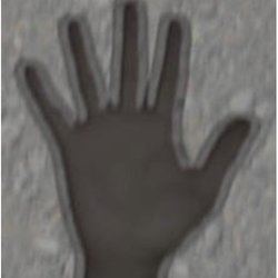 Honor House Prods - This is pretty much what you would see looking through the X Ray Specs