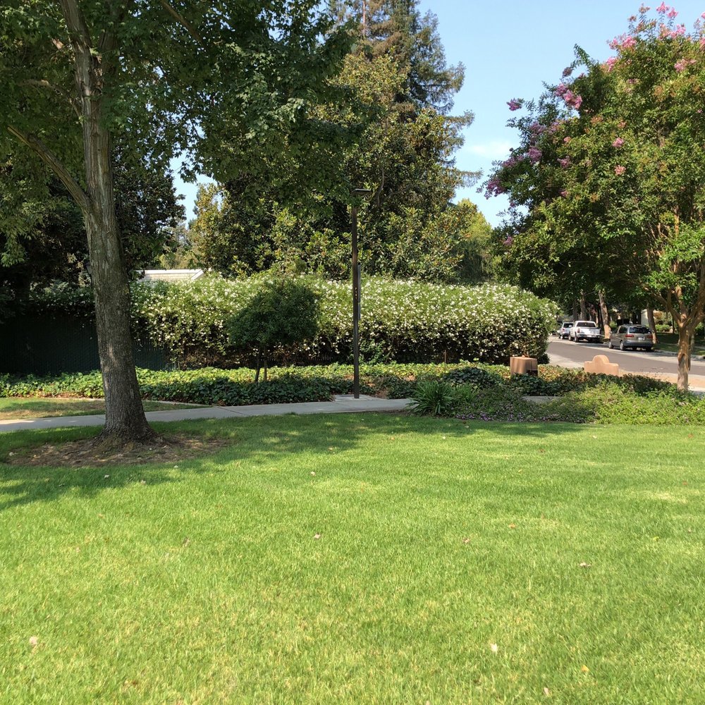 Roy Ave Park - Parks Near Me - San Jose, California Roy Ave Park - Parks Near Me - San Jose, California