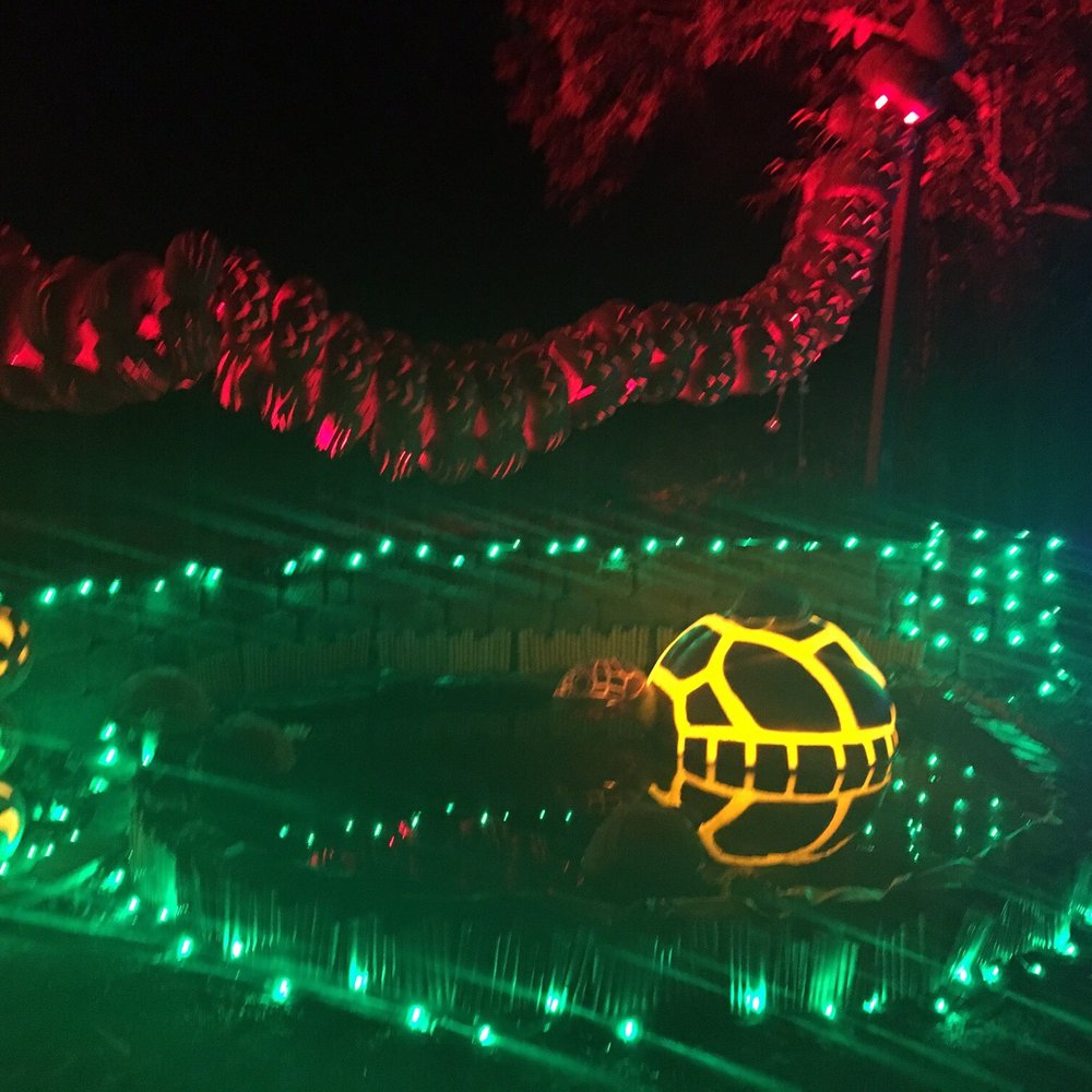 Pumpkin Nights - Festivals Near Me - Auburn, California