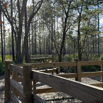 Jennings State Forest - Prefer parking lot for my excursion - Hiking Near Me - Middleburg, Florida Jennings State Forest - Prefer parking lot for my excursion - Hiking Near Me - Middleburg, Florida