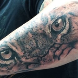 Evolution Tattoo Studio
