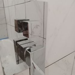 Lizard Steam Cleaning