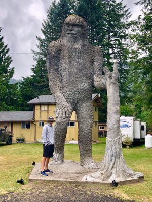 North Fork Survivors by null