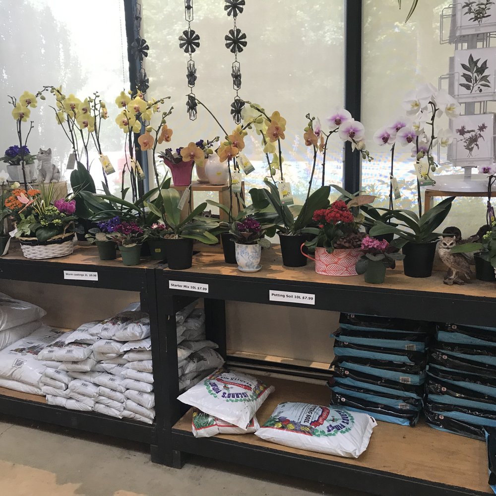 Maple Leaf Garden Centre - Nurseries & Gardening Near Me - North Vancouver, British Columbia Maple Leaf Garden Centre - Nurseries & Gardening Near Me - North Vancouver, British Columbia