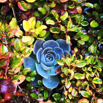 Farallon Gardens - Landscaping Near Me