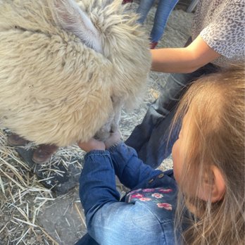 Dirty Bird Ranch - Petting Zoos Near Me