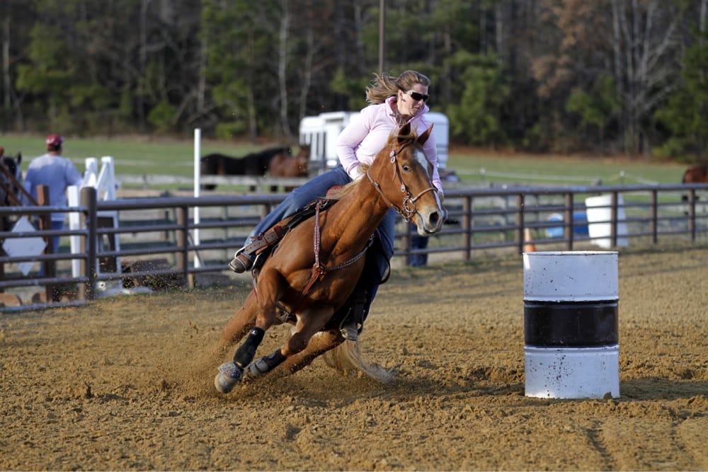 Bit By Bit Farm - equestrian in Suffolk, VA