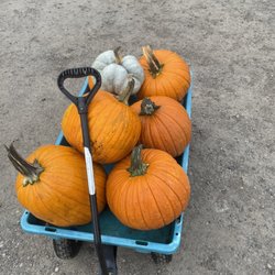 Johnston Fruit Farms