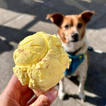 Cookiebar Scoop Shop - Daan Tat ice cream - Desserts Near Me - Alameda, California Cookiebar Scoop Shop - Daan Tat ice cream - Desserts Near Me - Alameda, California