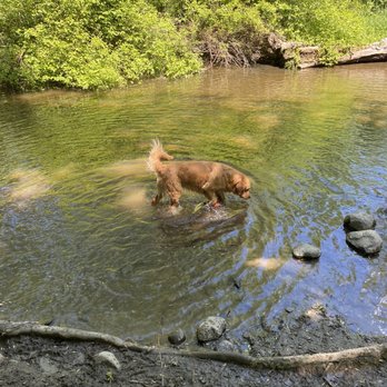 Wantage Dog Park - Dog Parks Near Me - Wantage, New Jersey