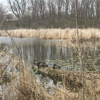 Boyer Nature Preserve - Parks Near Me - Westerville, Ohio