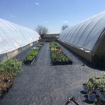 Grandma Marie's Greenhouse - Nurseries & Gardening Near Me - Linden, Iowa Grandma Marie's Greenhouse - Nurseries & Gardening Near Me - Linden, Iowa