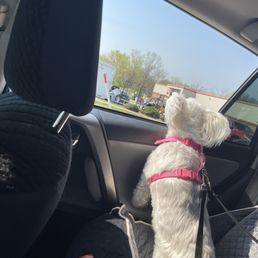 On the way to Bailey's! On the way to Bailey's!