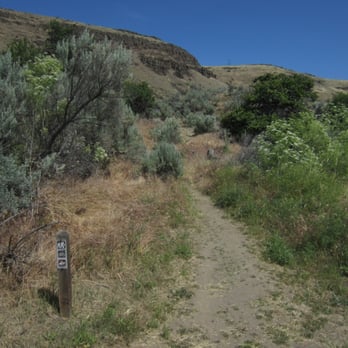 Deschutes River State Recreation Area - Upper trail - Parks Near Me - Wasco, Oregon